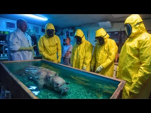 Crossbreeding Experiments Scientists Don’t Want You to See