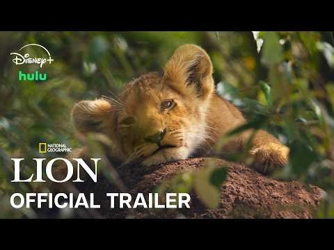 LION | Official Trailer | National Geographic