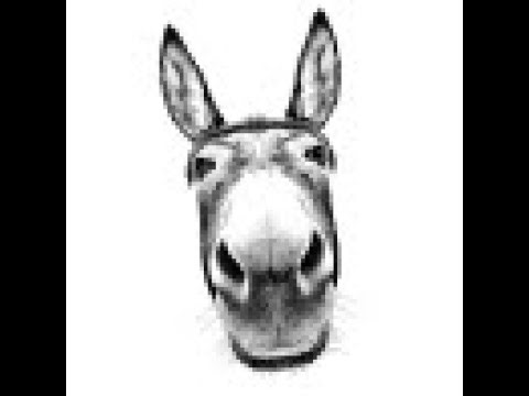 FCHS Lady Mules vs CWC Lady Bulldogs Basketball 01/30/26