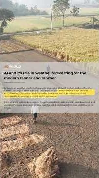 Can AI Actually Predict the Weather Better Than the Evening News?