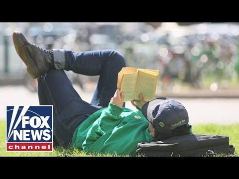 Reading scores PLUNGE as schools stop assigning full books