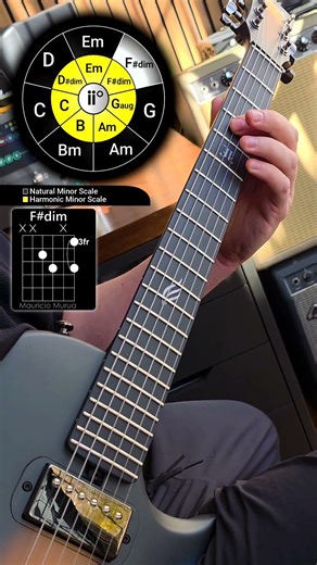 Guitar Exercise Omega 8 #guitar #guitarist #guitarsolo
