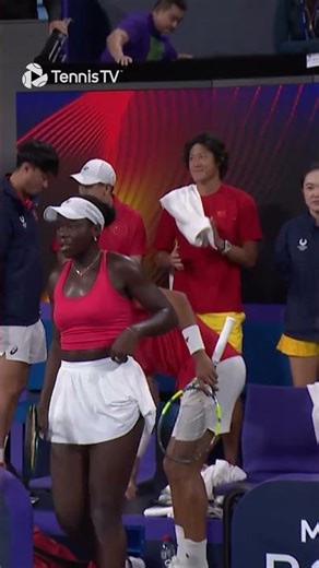 Felix Making Sure Things Are Tidy ☺️