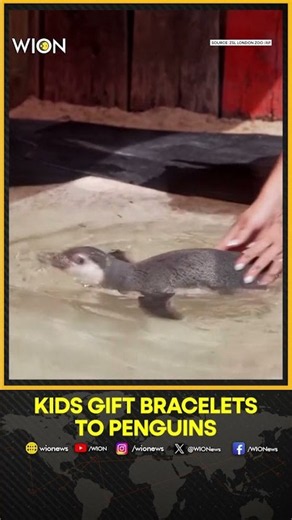 UK: Great Ormond Street Hospital Children Meet Penguin | WION Shorts