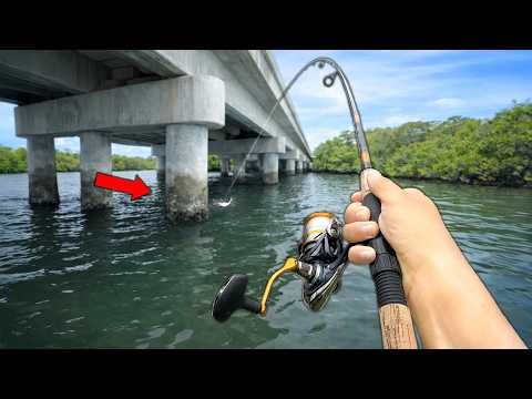 Fishing UNDER Saltwater Bridges & Docks (Catch and Cook)