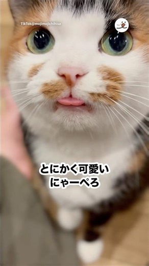 お返事も可愛い🫶｜PECO