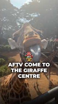 AFTV Come To The Giraffe Centre In Kenya! 😳