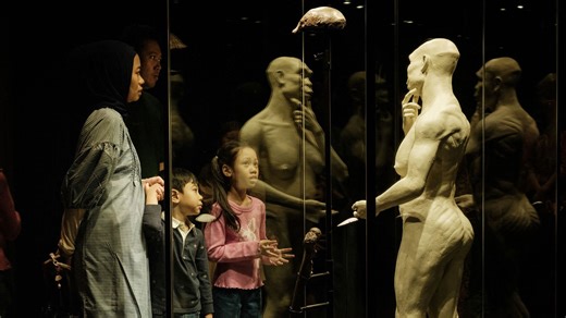 Indonesia welcomes return of 'Java Man', first fossil evidence of Homo erectus