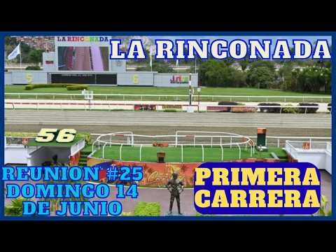 LA RINCONADA, PRIMERA CARRERA DOMINGO 14 DE JUNIO. GANADOR(A): FRANCIS ROSE.