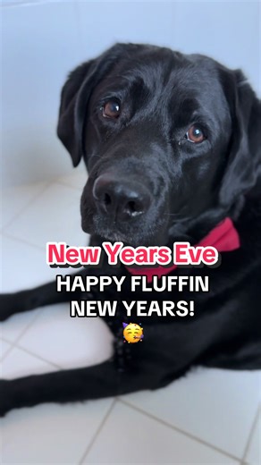 King Clarence's New Year Nightmare