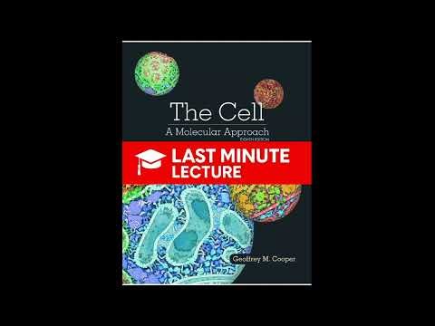 Fundamentals & Foundations (Cell Biology Basics) | Part I – The Cell: A Molecular Approach (8th)