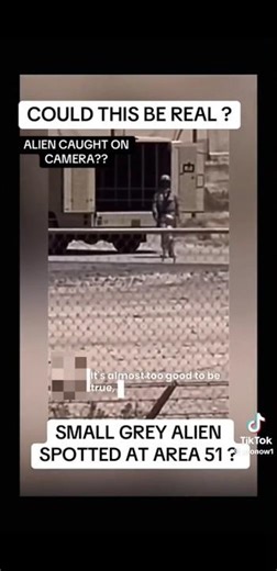 Small alien being escorted into a armed truck Government secrets caught on camera.