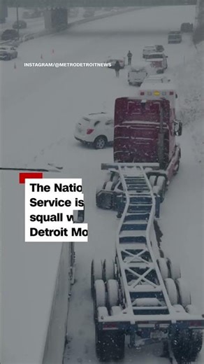 Snow squall causes 50 car pile-up on Detroit freeway