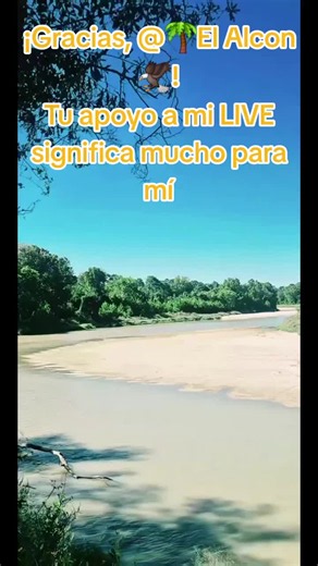 🌴El Alcon🦅, gracias por tu valioso apoyo en mi LIVE. Seguiré esforzándome para crear contenido LIVE aún mejor. @🌴El Alcon🦅 #tiktoklive #livehighlights #livegift #gamercat #gatogamer