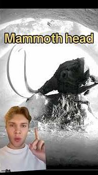 They found an entire mammoth head, ice age #history #archaeology #paleontology