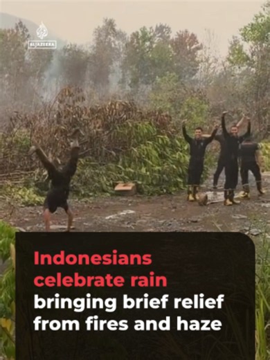 Rain has offered brief relief from wildfires in Indonesia, but underground peat fires continue to burn. Toxic haze has spread across Southeast Asia, causing school closures and respiratory illnesses. #news