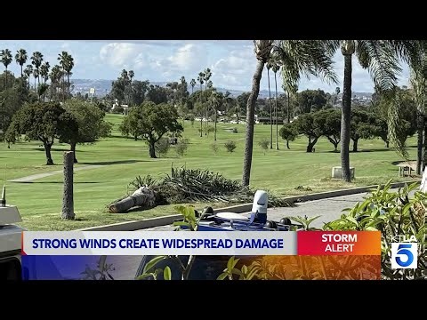 Strong winds create widespread damage in San Clemente