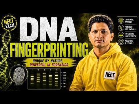 Procedure of DNA fingerprinting(Molecular basis of inheritance) Lecture-23 #genetics #neet #biology