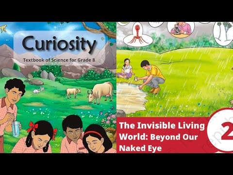 Class 8 Science Chapter 2 |The Invisible living World Beyond Our Naked Eye |Book Exercise Last Part