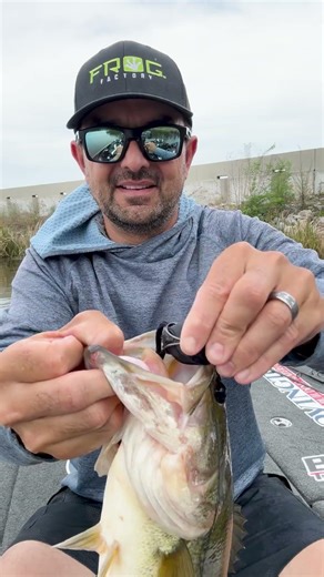 NEW! BOOM BOX from Frog Factory with Nick LeBrun! 🐸💥🎣 #BoomBox #FrogFactory