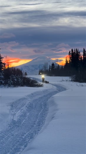 #27 Millie Porsild rounds the corner before coming into Meiers Checkpoint | Copper Basin 300 Sled Dog Race