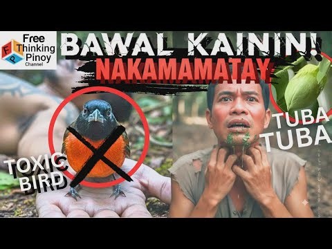 NEW🌟 iBON at BUTIKI MAY LASON?! Top 5 Poisonous Animals in the World