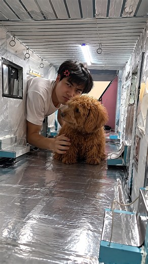 Rocky Is Afraid of the Train 🚂😂
