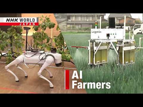 Sizzling Japan summers push farmers into AI robot ageーNHK WORLD-JAPAN NEWS
