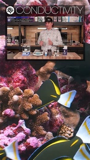 Hanna Salinity Tester Put To The Test | SR LABS