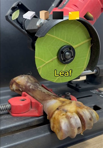 Stuff vs a Beef Bone | emery