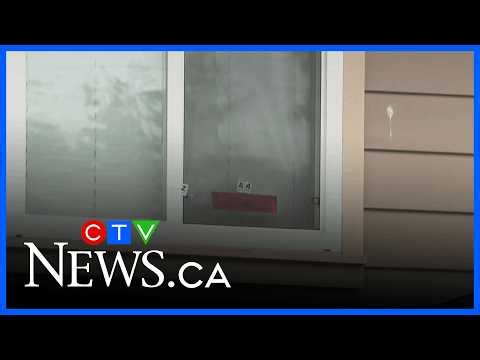 Surrey home riddled with bullet holes