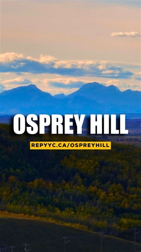 REASONS TO LIVE IN OSPREY HILL! #repyyc #shorts