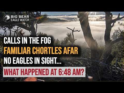 Familiar Chortles in the Fog! No Eagles in Sight… Who Might Have Landed at 6:48AM? Big Bear Eagles