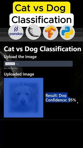 CNN from Scratch in TensorFlow