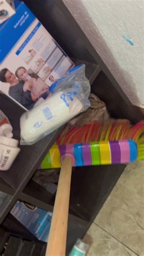 Cat Befriends Tiny Mouse and Cuddles on Shelf