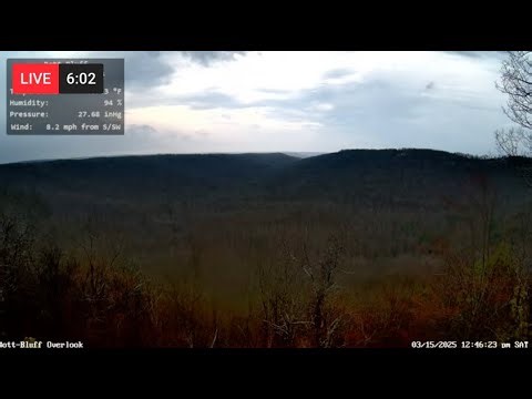 BlueBird Nesting Live! (Birdfy Nest camera.) Live from "Bott-Bluff"