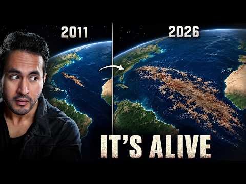 Something Weird is Spreading Across The Atlantic Ocean. And it's Huge