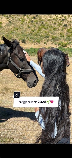Explore Delicious Vegan Recipes for Veganuary 2026