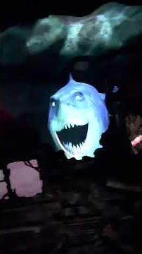 The Seas with Nemo & Friends - Ride Recap