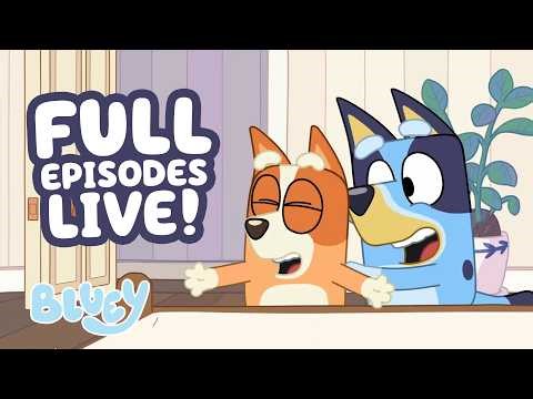 🔴LIVE: Stormy Weather Fun! ☔️ 💙 | Hotel + 17 BLUEY FULL EPISODES ⭐️ | Bluey