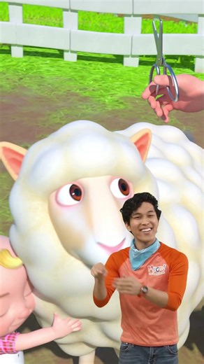 Silly Sheep! Baa Baa Pink Sheep 🐑🩷 #shorts