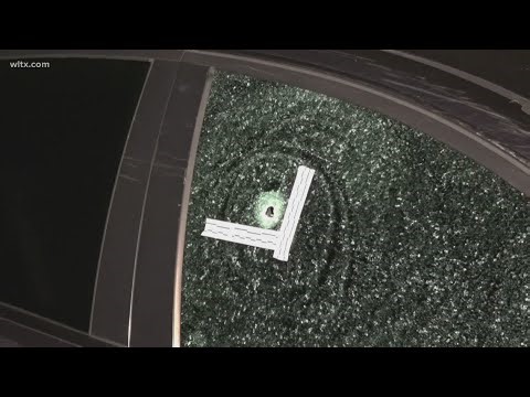 Suspect accused of shooting Springfield police chief denied bond amid ongoing investigation