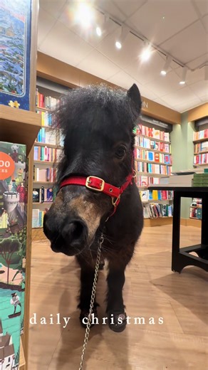 Exploring Children's Books at Waterstones