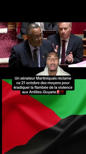 Violence aux Antilles-Guyane : sénateur martiniquais demande moyens (21 oct)