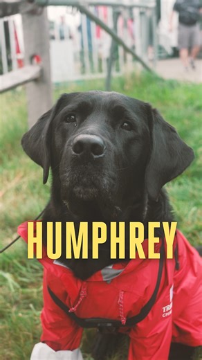 Throwback to Humphrey’s day at the Travelers. 🐶 | Golf Digest