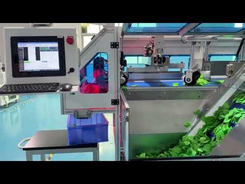 Count & Packing Machine | Tablet Counting machine | Counting filling and Packing Machine