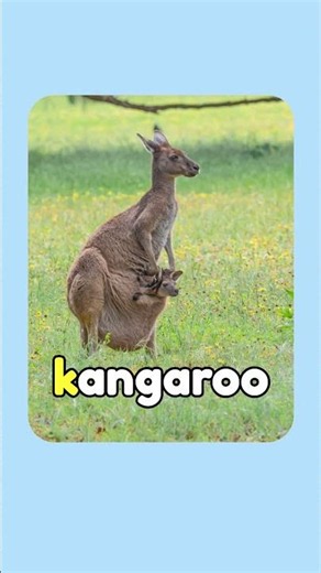 Do you know the letter K | K is for Kangaroo | ABC Phonics Song