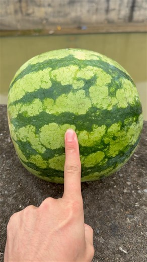 🍉💥😅Experiment: Will a watermelon explode if it falls from a height onto a water surface?#shorts