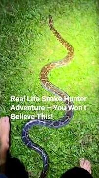 Real Life Snake Hunter Adventure – You Won’t Believe This! #snake #rainforest #adventure#wild