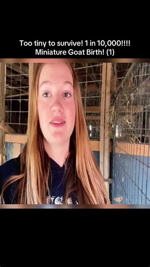 Miniature Goat Birth: Witness a Tiny Miracle